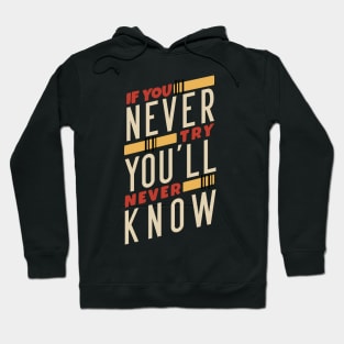If You Never Try You'll Never Know Hoodie